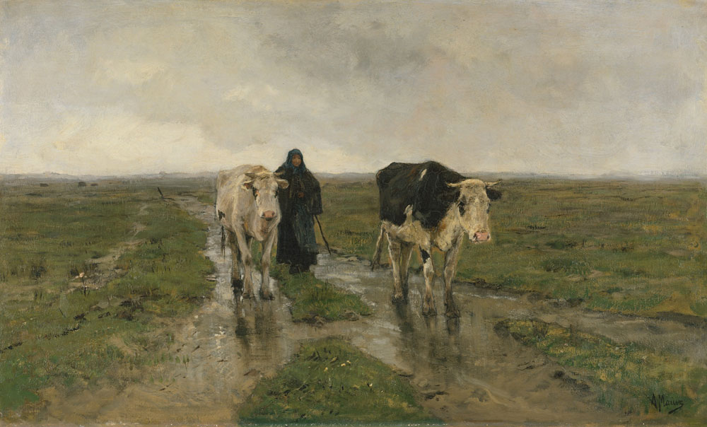 Pastoral scene with cows in a field